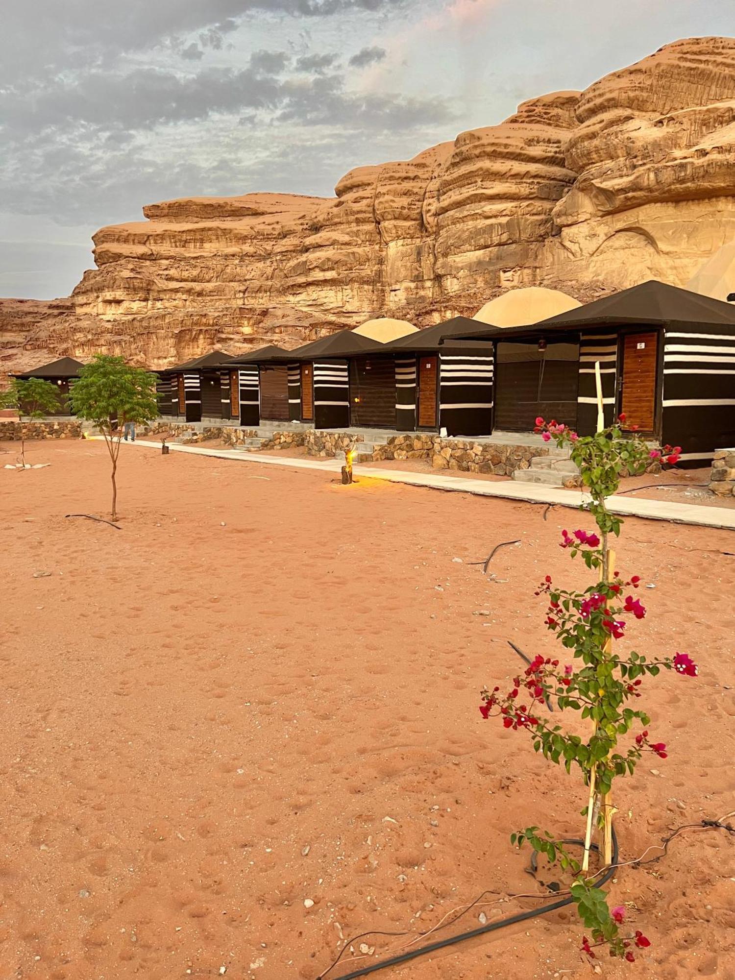 Revan Rum Luxury Camp Wadi Rum Exteriör bild