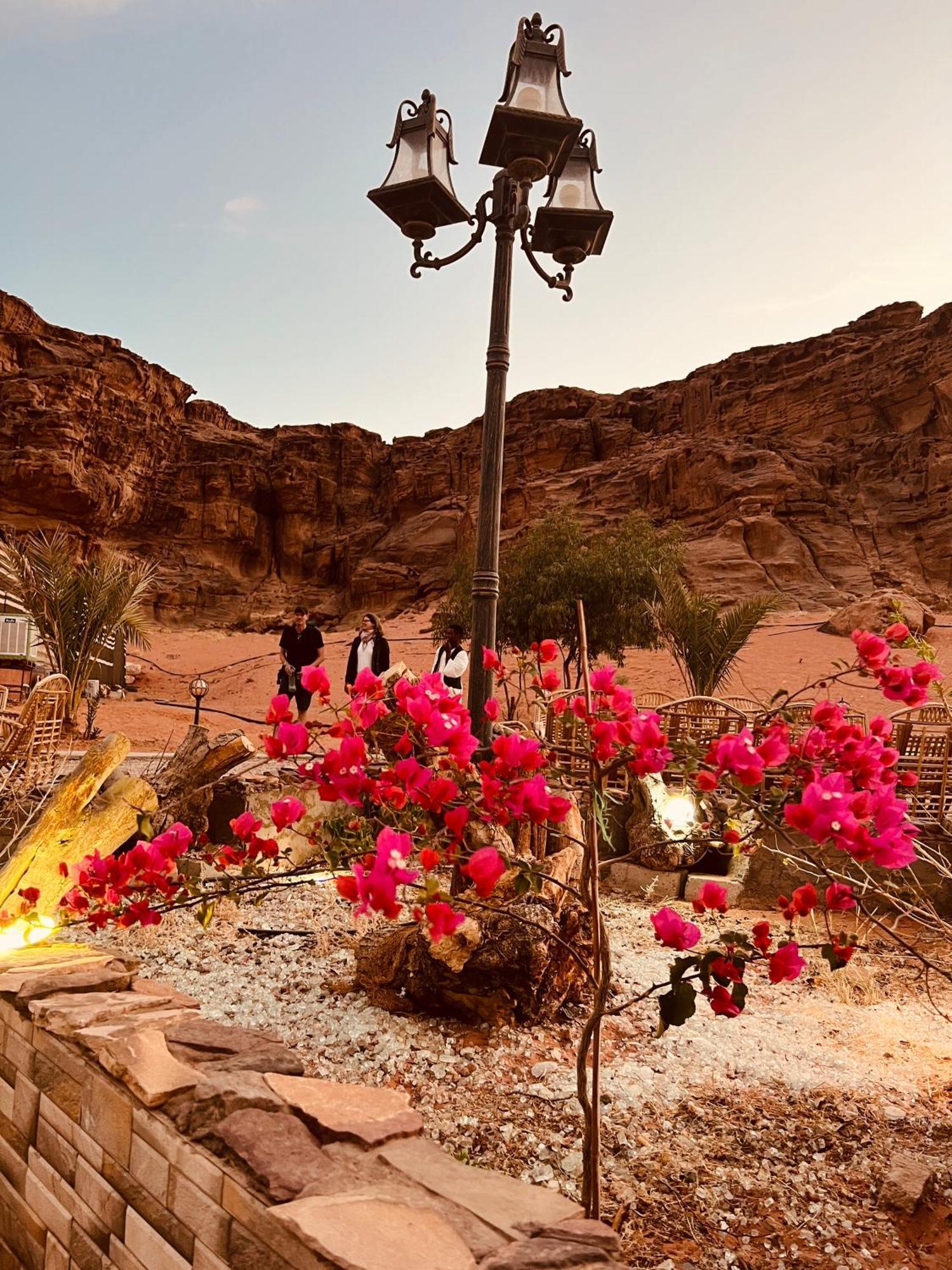 Revan Rum Luxury Camp Wadi Rum Exteriör bild