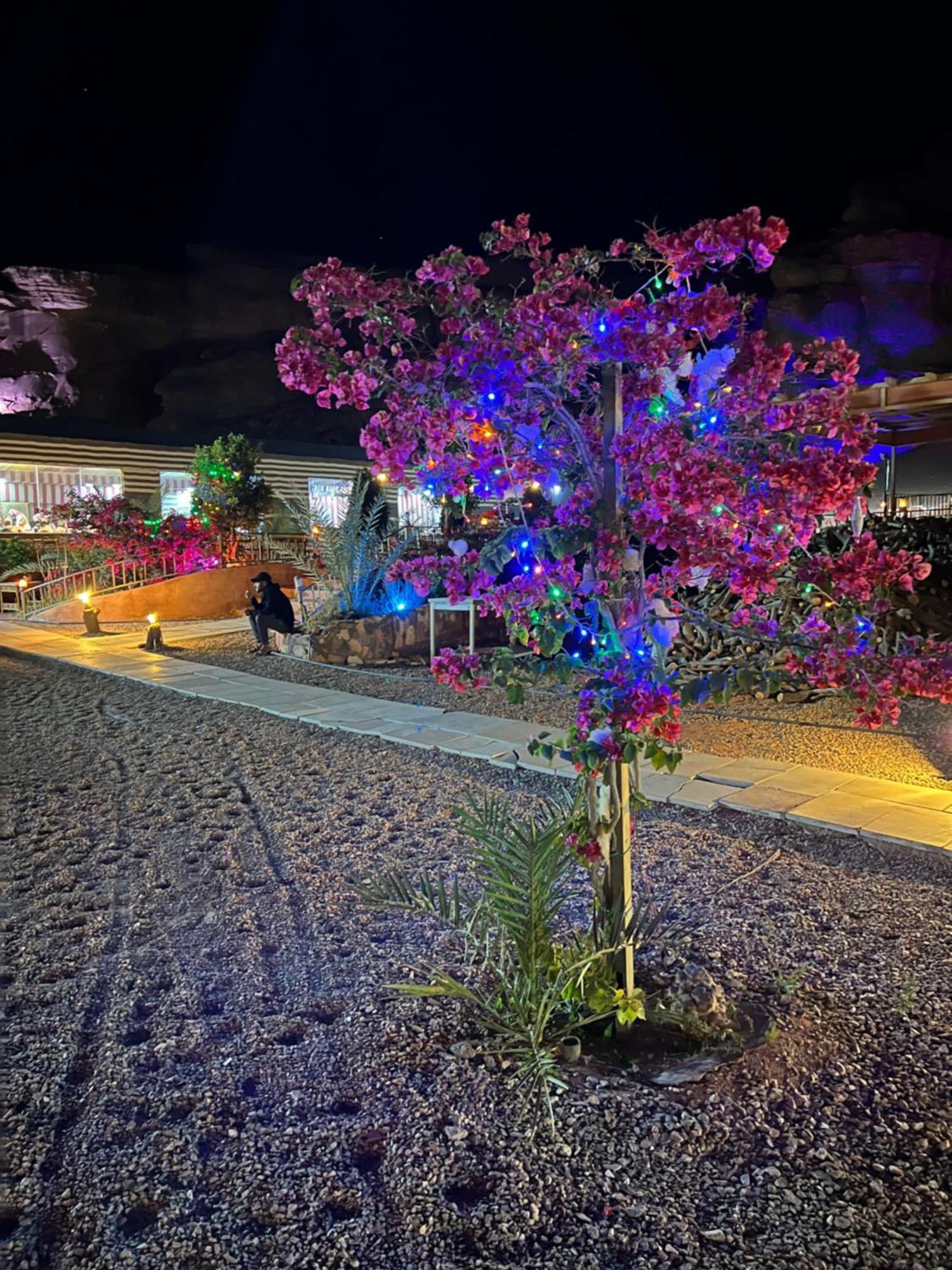 Revan Rum Luxury Camp Wadi Rum Exteriör bild